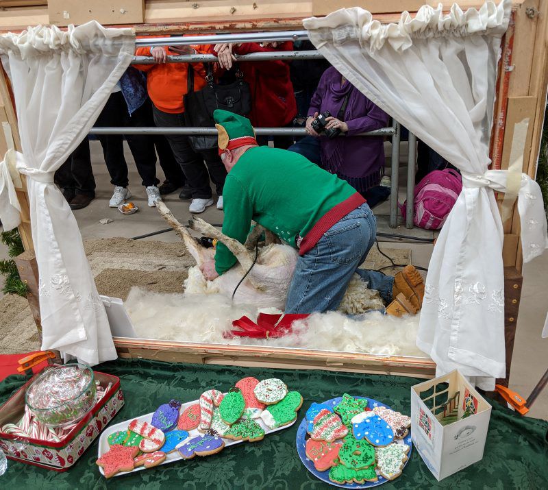 2020-sheep-shawl-8.jpg